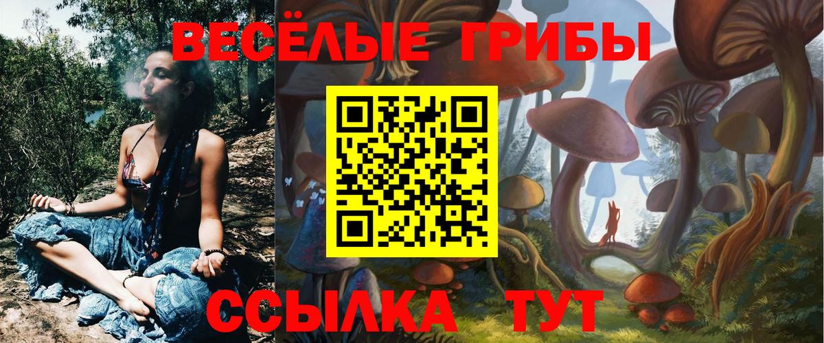 где найти   Псилоцибиновые грибы Cubensis  Вход с VPN  Уссурийск 