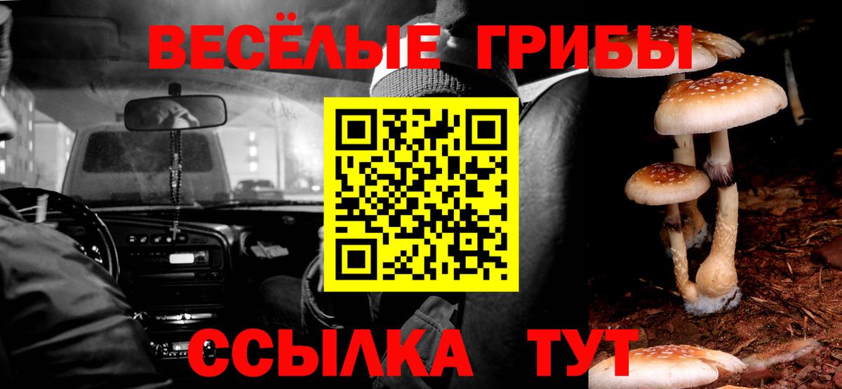 Псилоцибиновые грибы мицелий Уссурийск